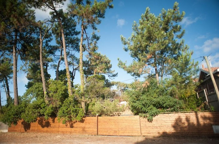 View from the street